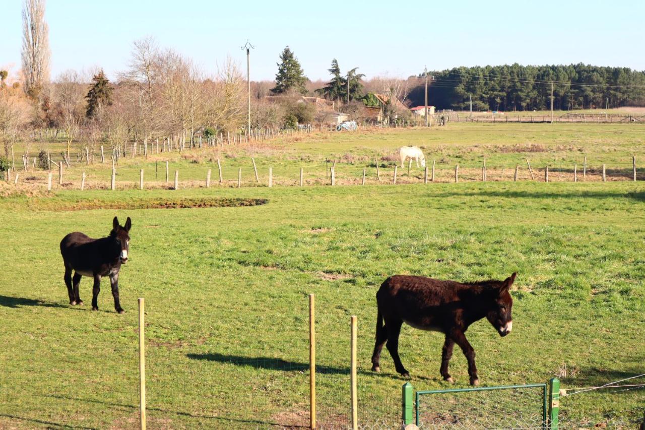 Bed and Breakfast Chambre En Campagne A 15 Min Circuit ! Change  Екстер'єр фото